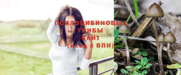 дживик Алексин