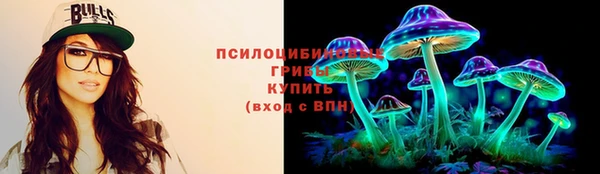 дживик Алексин